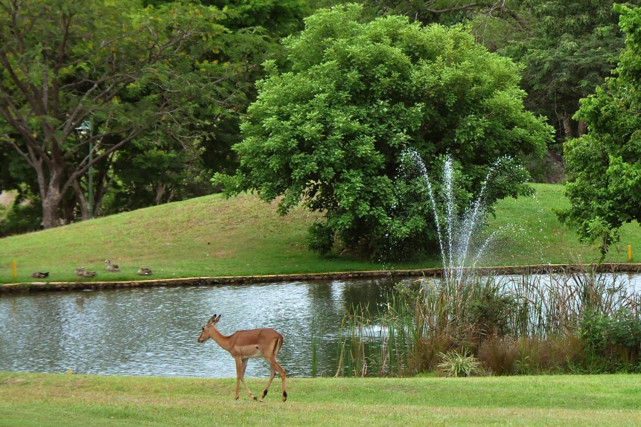 Kruger Park Lodge Unit No. 608B Hazyview Eksteriør billede
